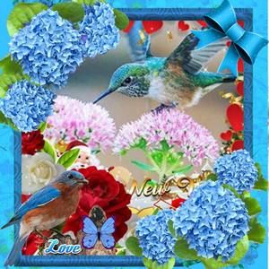 Meet your Posher, Angeles